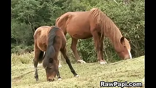97 latino porn videos